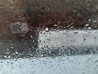 Заключительный день ВЭФ омрачен дождями различной интенсивности