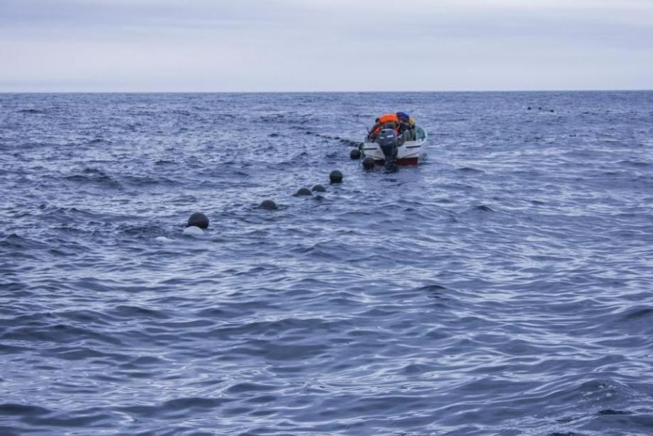 Фото: Анна Шеринберг | Приморцу грозит штраф до 500 тыс. рублей за необычный подход к рыбалке