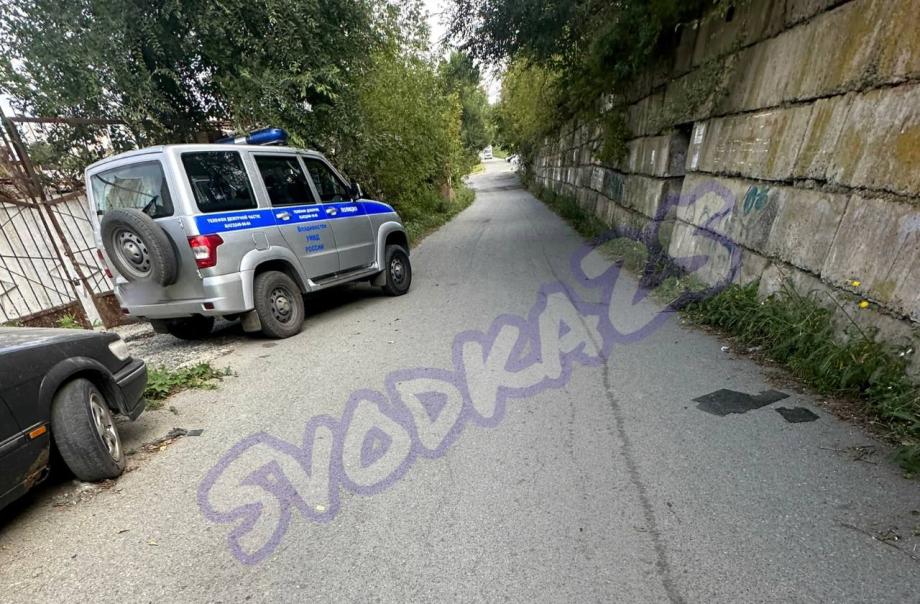 Фото: Telegram-канал Svodka25 | Владивостокцы обнаружили жуткую находку в одном из районов города