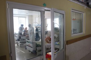 Новый штамм коронавируса «Стратус»: чем опасен и когда ожидается волна заболеваемости