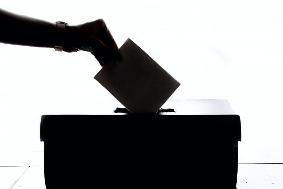 Фото: Pexels.com | Приморских избирателей снова пытаются подкупить