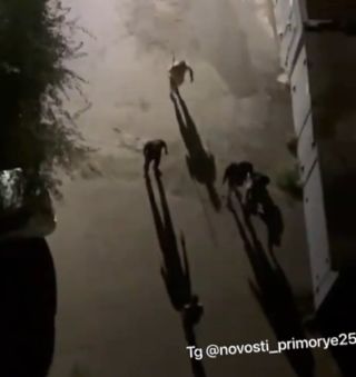 Мужчину забрала скорая: во Владивостоке подростки избили взрослых