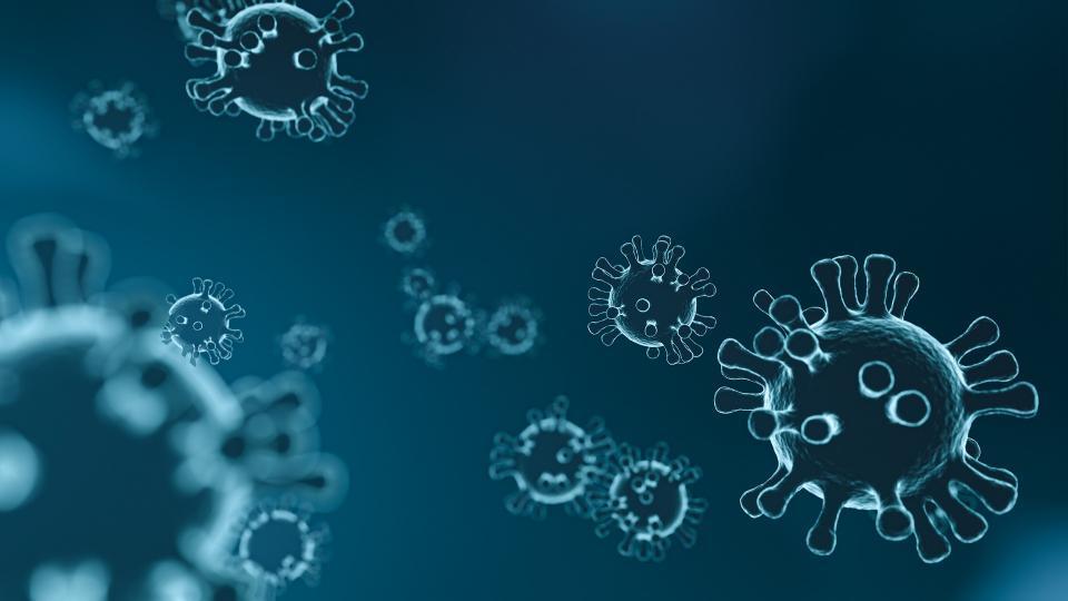 Фото: pixabay.com | В Приморье за последние сутки выявлено еще 75 случаев зараженния коронавирусом