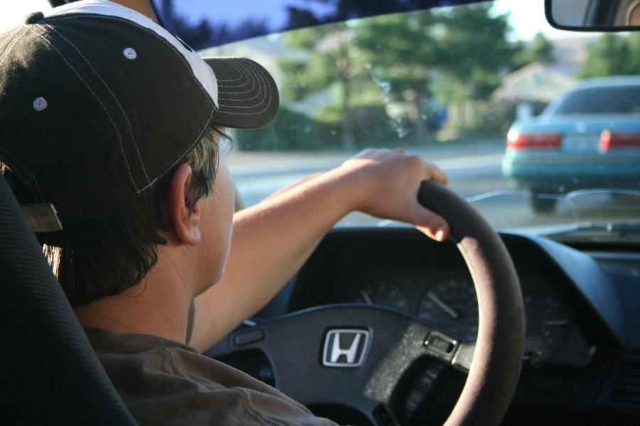 Фото: pixabay.com | «Насвинячил и уехал»: приморцы осуждают поступок водителя