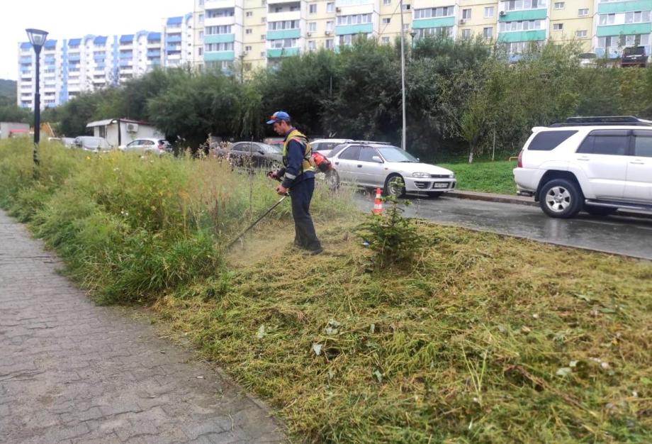 Фото: МКУ «Зелёный Владивосток» | Озеленители ежедневно трудятся на улицах Владивостока
