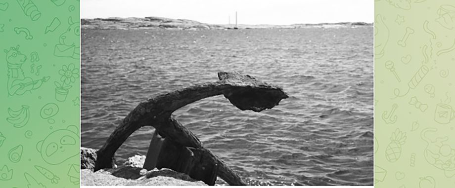 Матрос умер на сахалинском судне, идущем во Владивосток