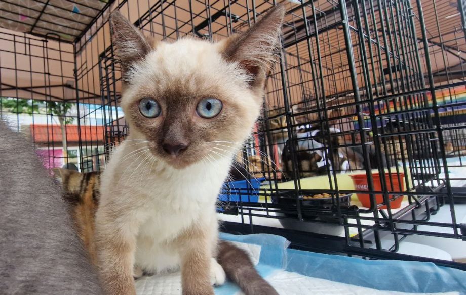 Владивосток приглашает на благотворительную акцию