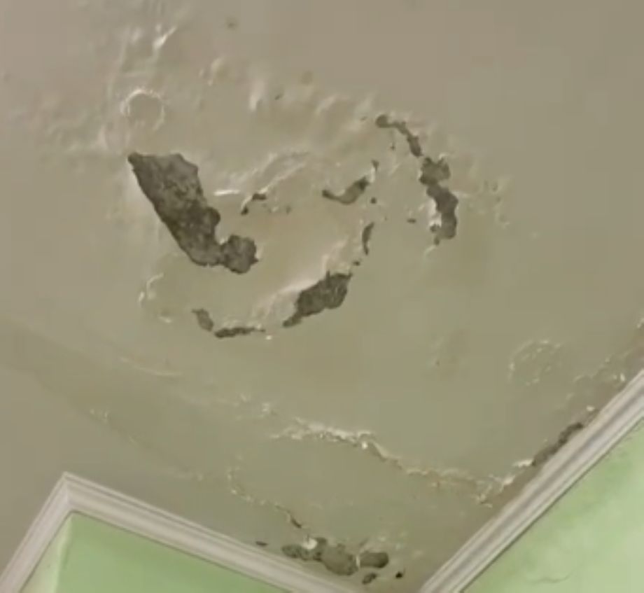 Родители бьют тревогу: в недавно отремонтированной школе Владивостока обнаружен грибок