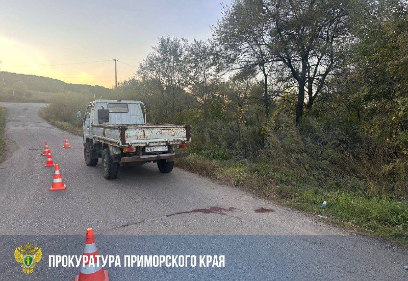 Смерть в ДТП в Приморье: две девочки на ходу вывалились из кузова грузовика