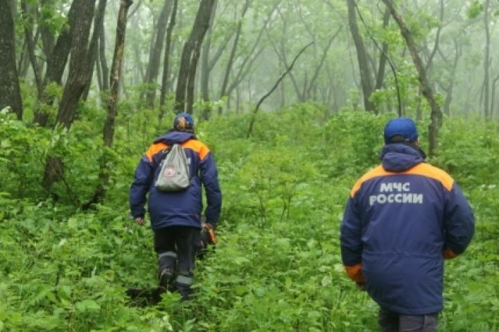 Фото: 25.mchs.gov.ru | В Приморье ищут пропавшую в лесу женщину