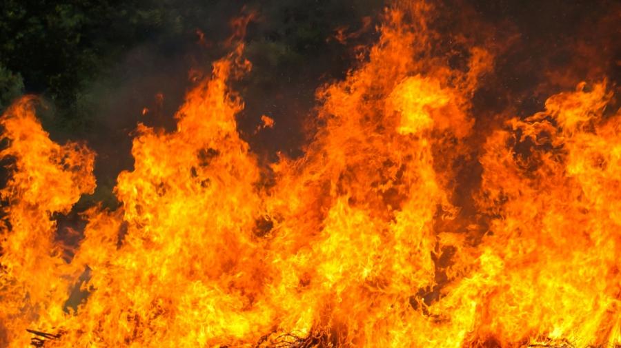 Озвучены подробности жуткого пожара в Приморье