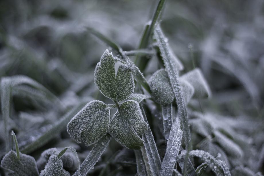 Фото: wirestock on Freepik | Как – уже? В отдельных районах Приморья ударили первые морозы
