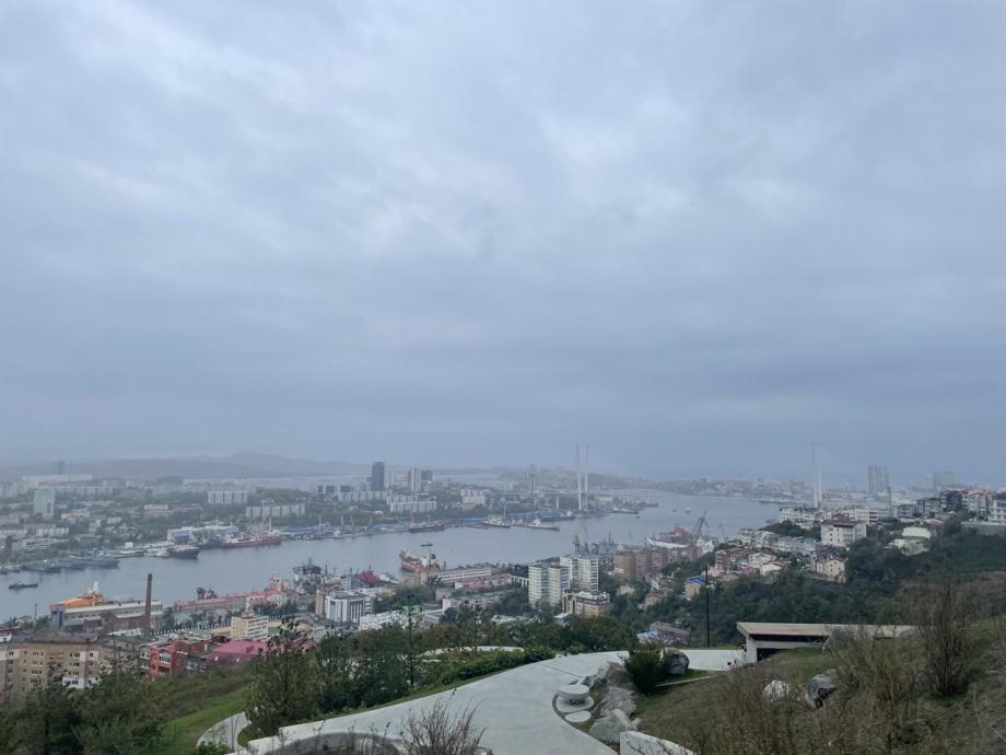 Фото: PRIMPRESS | Жители Владивостока поделились последствиями сильного ветра