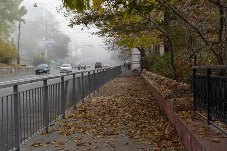 Температурные качели ожидают приморцев в ближайшее время