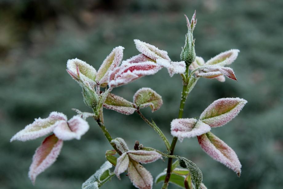 Фото: pixabay.com | Зима близко: температуры в Приморье продолжают опускаться