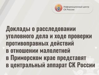 Семейная драма в Приморье: мать похитила дочь-первоклассницу от порога школы - что известно