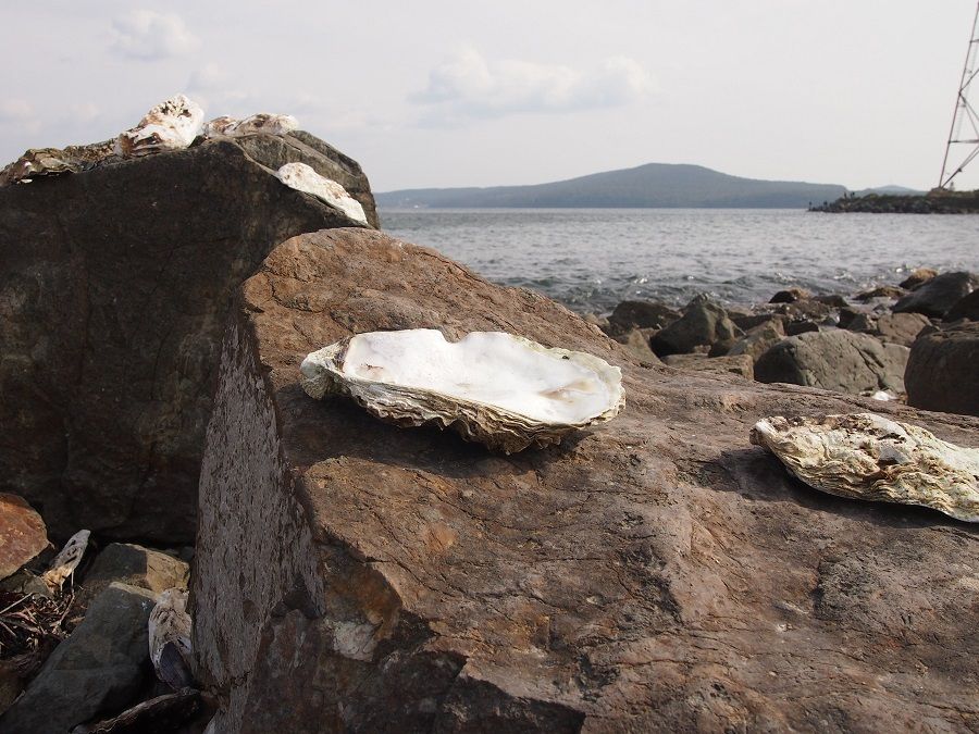 Бархатный сезон во Владивостоке: пляжи закончились, путешествия продолжаются