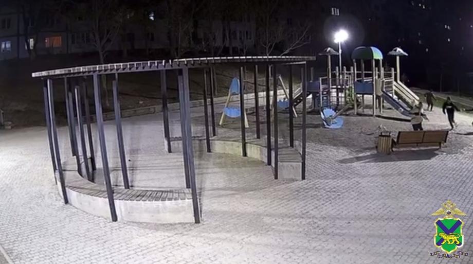 Фото: кадр видео | Родителей разгромивших детскую площадку подростков привлекли к ответственности во Владивостоке