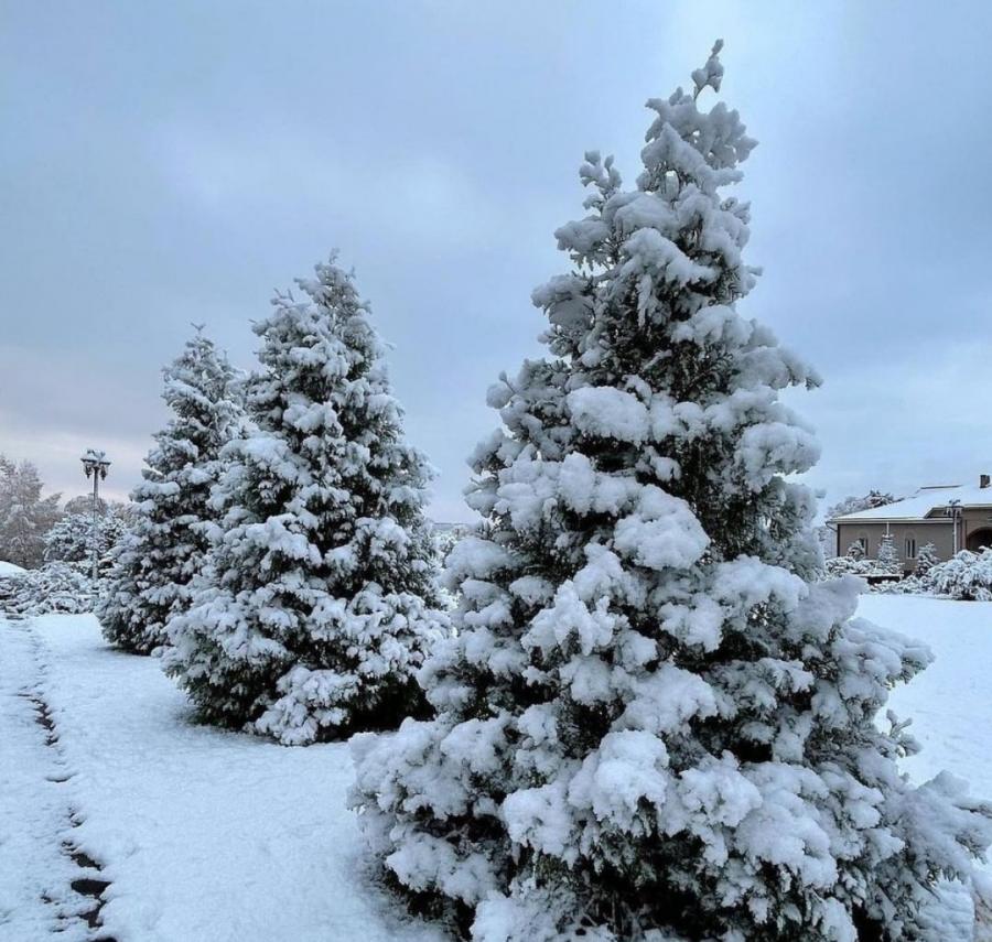 «Верните лето»: в Приморье выпал первый снег