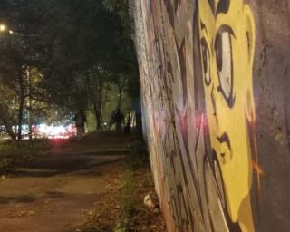 Очередная подпорная стена готовится рухнуть во Владивостоке