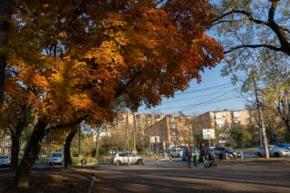Озвучен прогноз погоды на выходные в Приморье