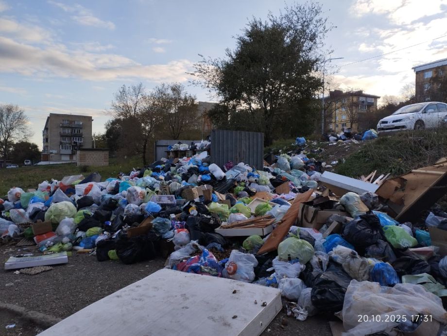 Жители Фокино бьют тревогу: город превращается в свалку