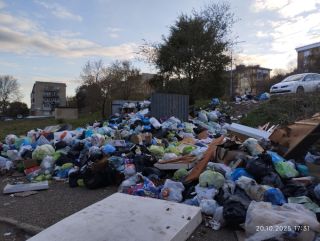 Жители Фокино бьют тревогу: город превращается в свалку