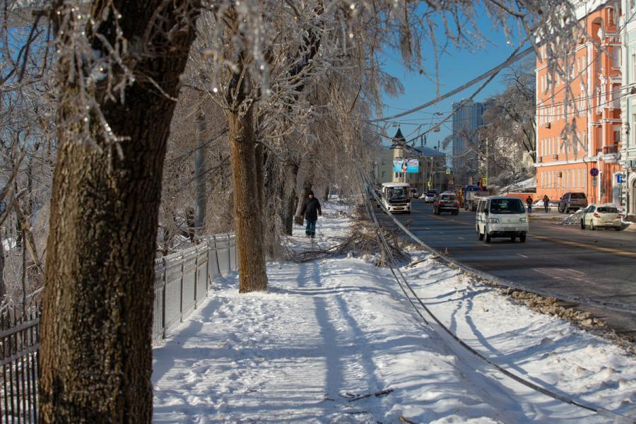Фото: PRIMPRESS | Борис Кубай назвал предварительную дату первого снега во Владивостоке