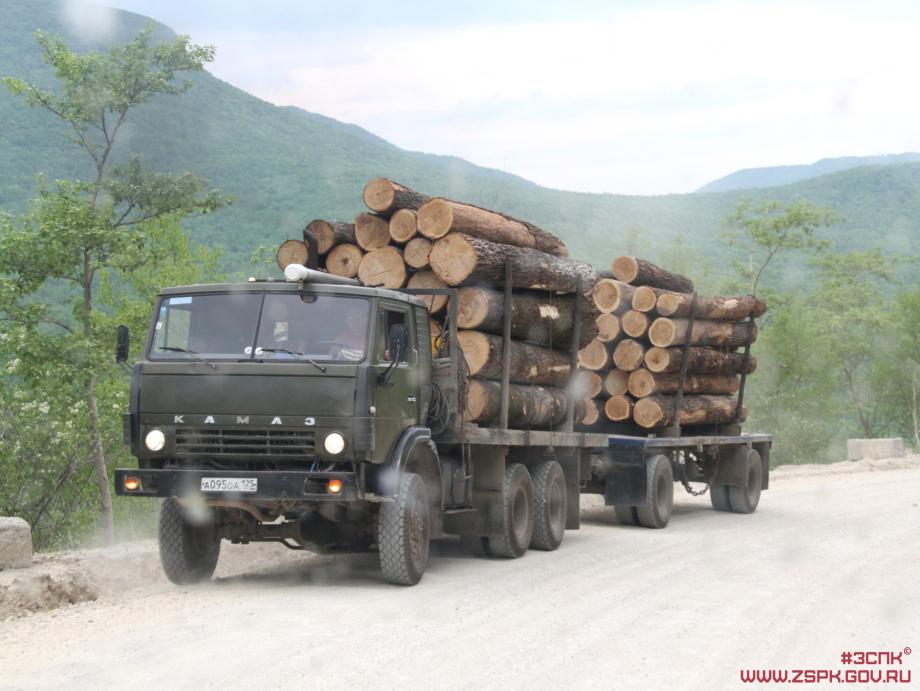 Фото: zspk.gov.ru | В помощь лесопромышленникам: приморские депутаты решили обратиться в правительство России
