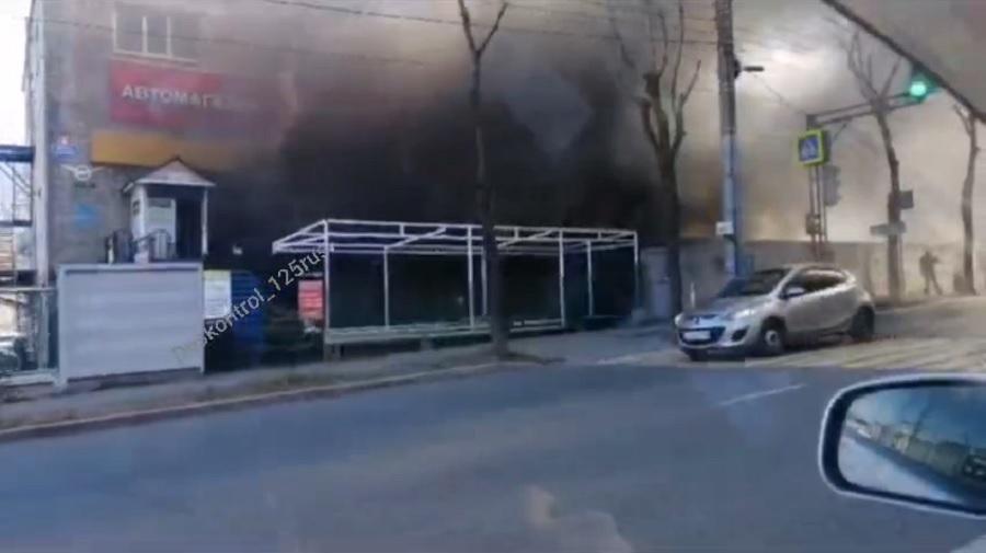 Фото: кадр видео | Владивостокцев напугал мощный пожар рядом с автобусной остановкой