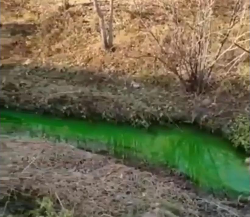 «Что происходит?»: река в поселке Кневичи окрасилась в зеленый цвет (видео)