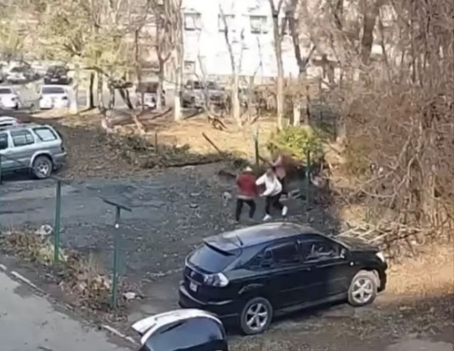 Пенсионерка с бревном напала на соседок в центре Владивостока