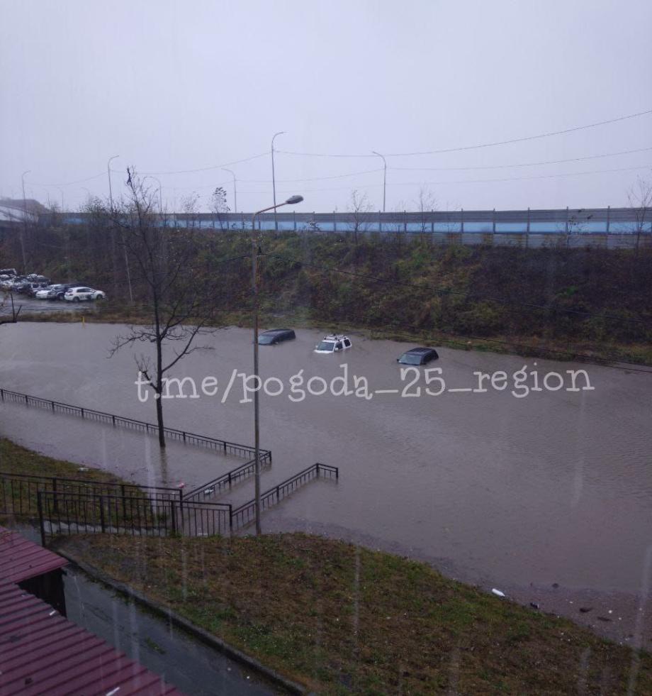Фото: Telegram-канал pogoda_25_region | «Машины тонут, деревья ломаются». Приморцы массово публикуют кадры последствий циклона