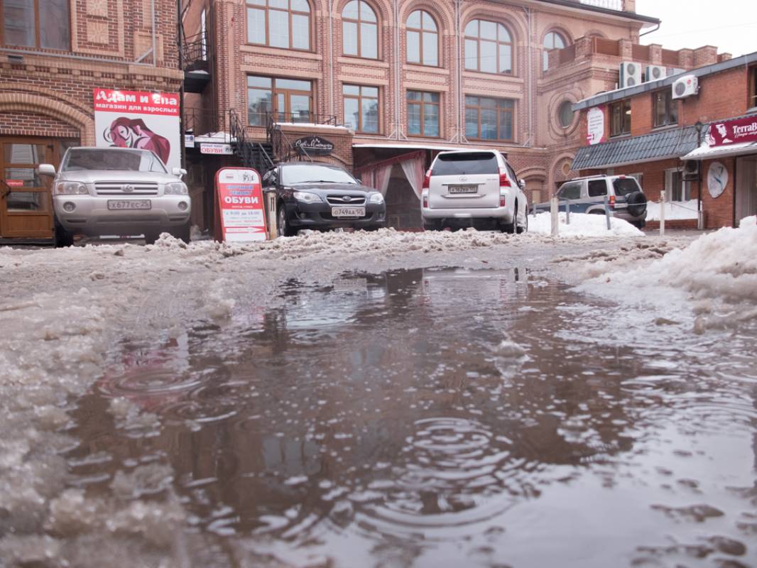  | Выходные во Владивостоке будут теплыми и дождливыми