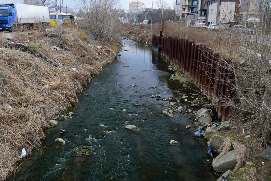 Фото: PRIMPRESS | Самая грязная река Владивостока вновь вызвала отвращение у местных