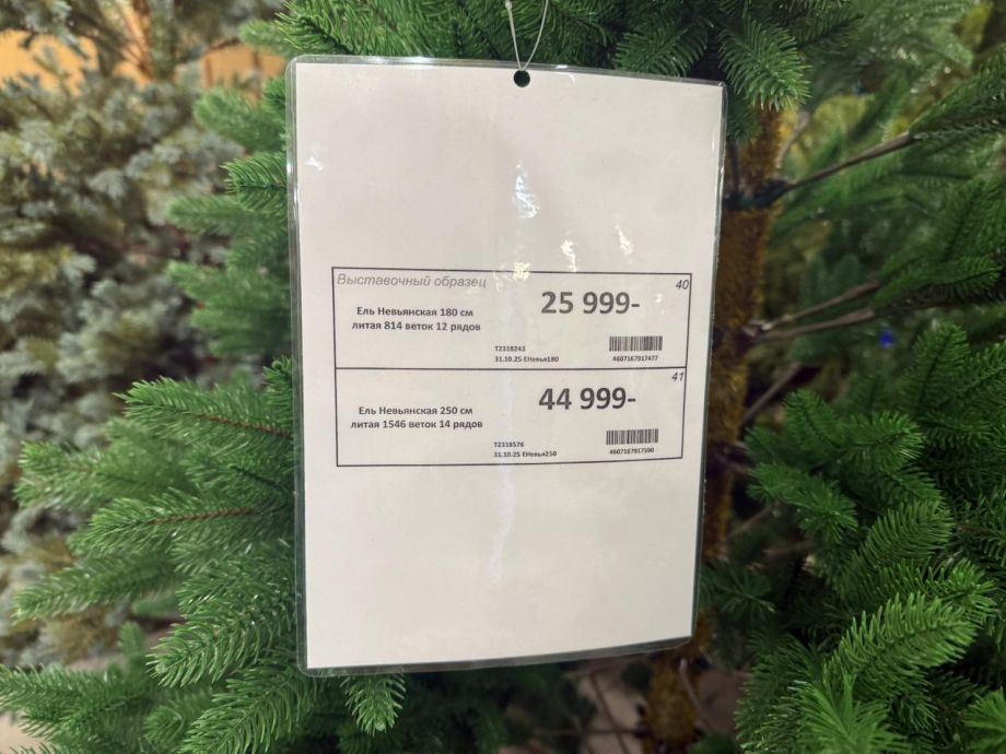 Простая искусственная ёлка во Владивостоке сравнялась в цене с арендой жилья