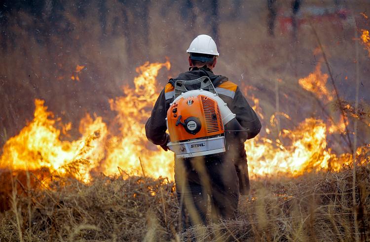 Девять природных пожаров ликвидировано за последние выходные в Приморье