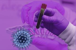 Фото: pixabay.com | Количество зараженных коронавирусом в мире приближается к 58 миллионам