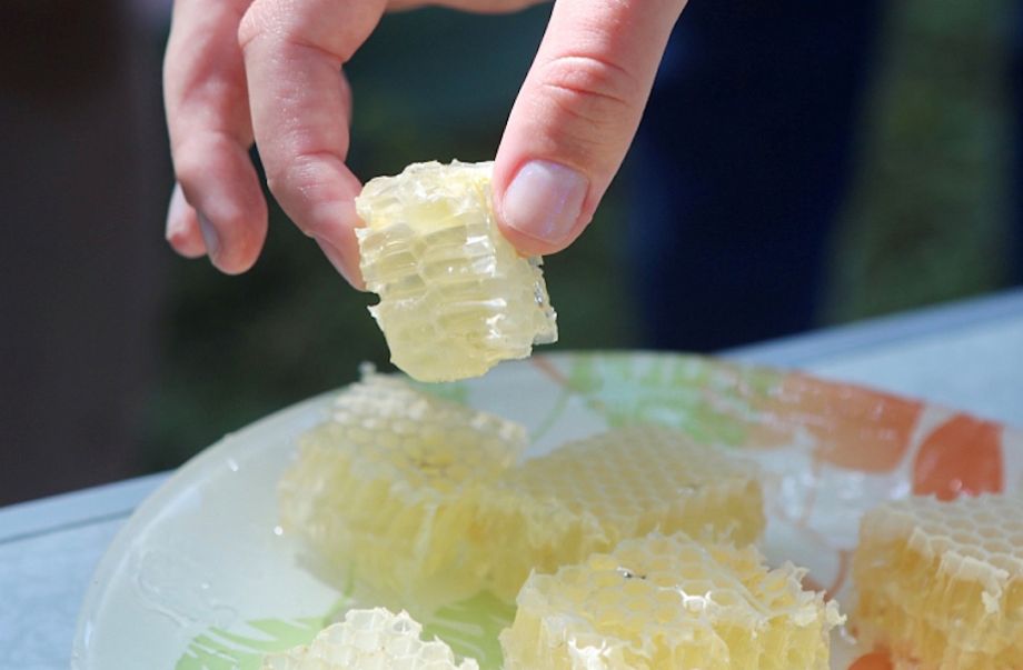 Медовые сомелье появятся в Приморском крае