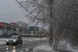 Синоптики рассказали, что приморцам ждать от погоды в последнюю неделю ноября