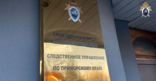 Безумная мать изрезала своего ребенка в Приморском крае