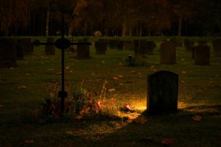 Фото: pexels.com | «Обидно до слез»: владивостокцы ужаснулись увиденному на кладбище