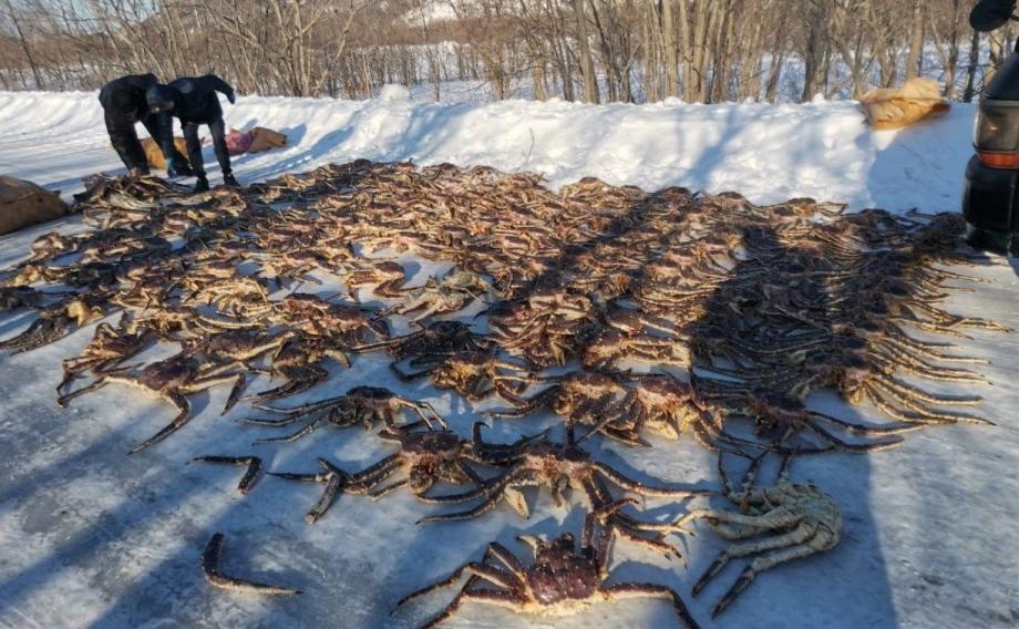 Фото: Пограничное управление ФСБ России по Приморскому краю | Пограничники накрыли браконьеров с тоннами краба, икры и рыбы