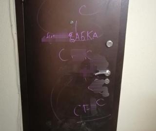 Фото: @dps_vl | «Издеваются и оскорбляют»: во Владивостоке дети исписали дверь бабушке нецензурными словами