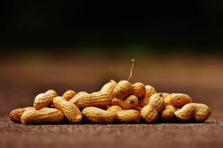 Фото: Pexels | Почему есть арахис вредно для здоровья