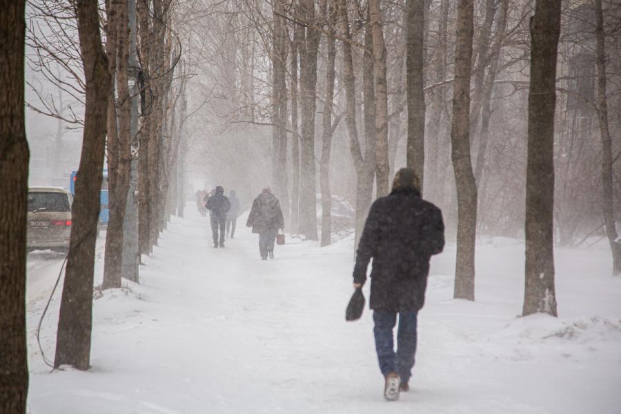Фото: Татьяна Меель / PRIMPRESS | Сегодня в Приморье сохранится снежная погода