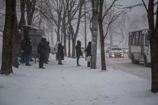 Фото: Татьяна Меель / PRIMPRESS | Синоптики рассказали, когда в Приморье потеплеет