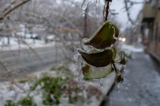 Повторится ли в Приморье ледяной дождь?