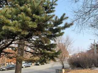 Синоптики обещают, что во Владивостоке начинается потепление