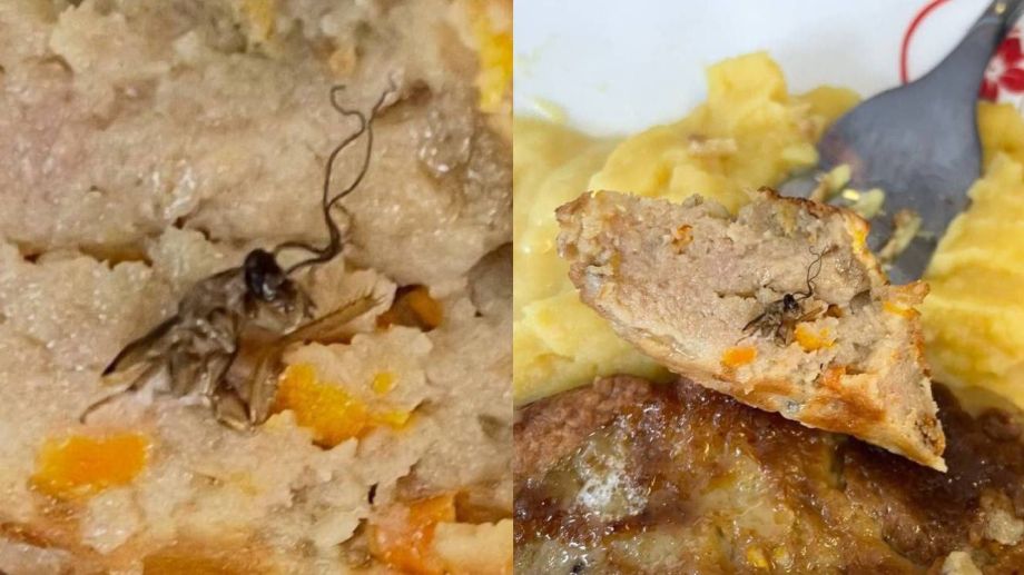 Таракан в котлете: мэрия Владивостока оперативно отреагировала на инцидент в школе 11